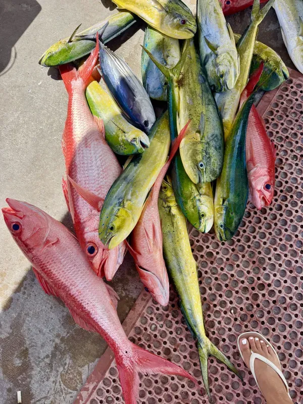 Offshore fishing 16