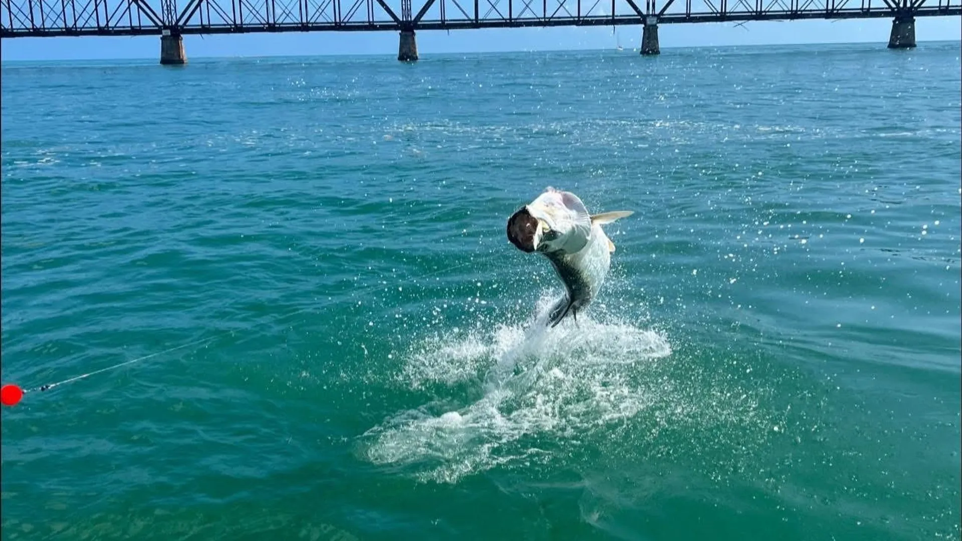 Fishing Charters