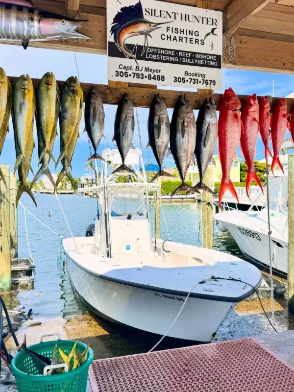 Offshore fishing 39
