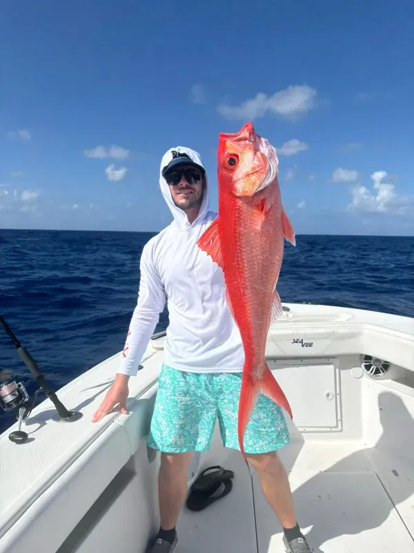 Offshore fishing 30