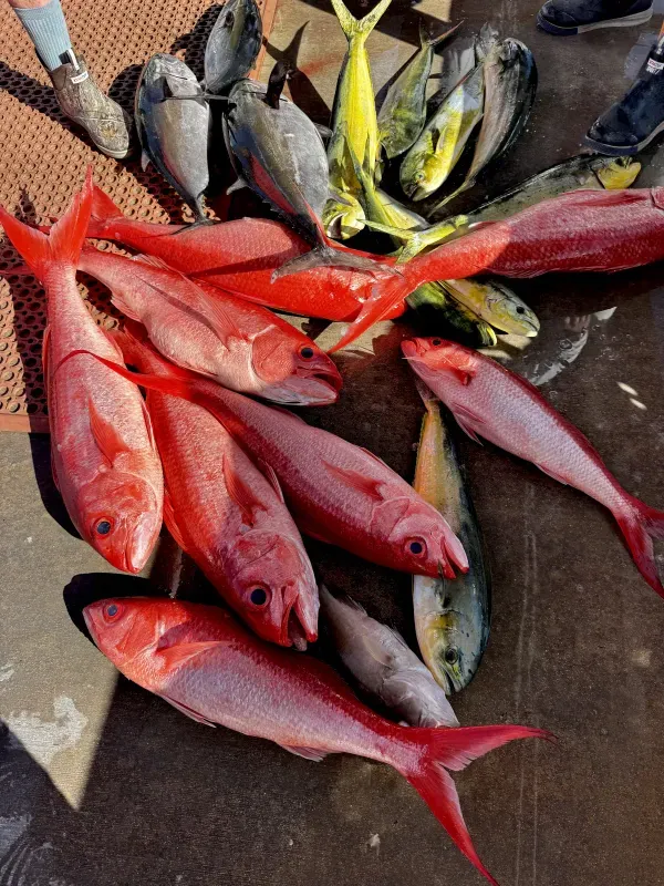 Offshore fishing 18