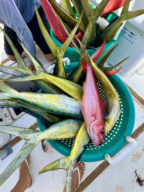 Offshore fishing 14