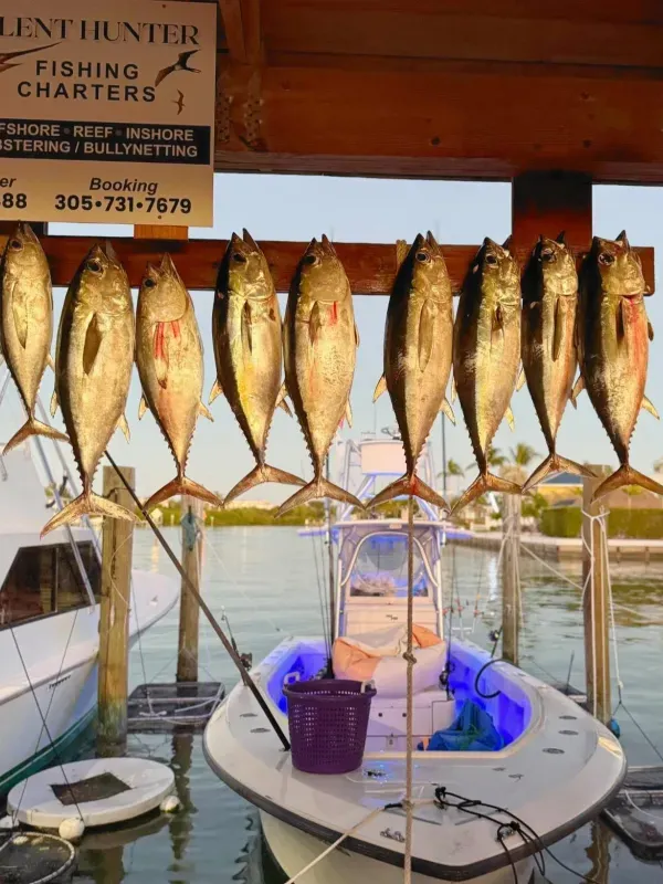 Offshore fishing 43