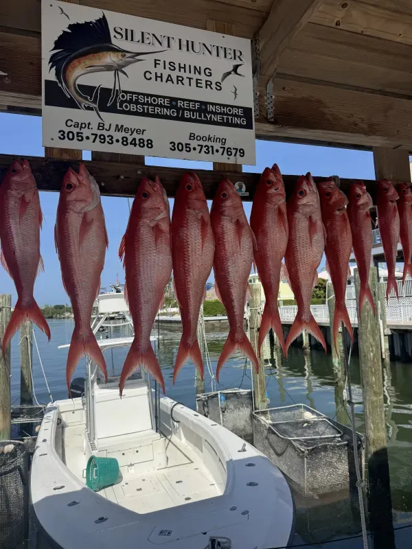 Offshore fishing 17
