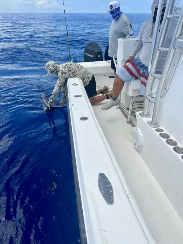 Offshore fishing 23