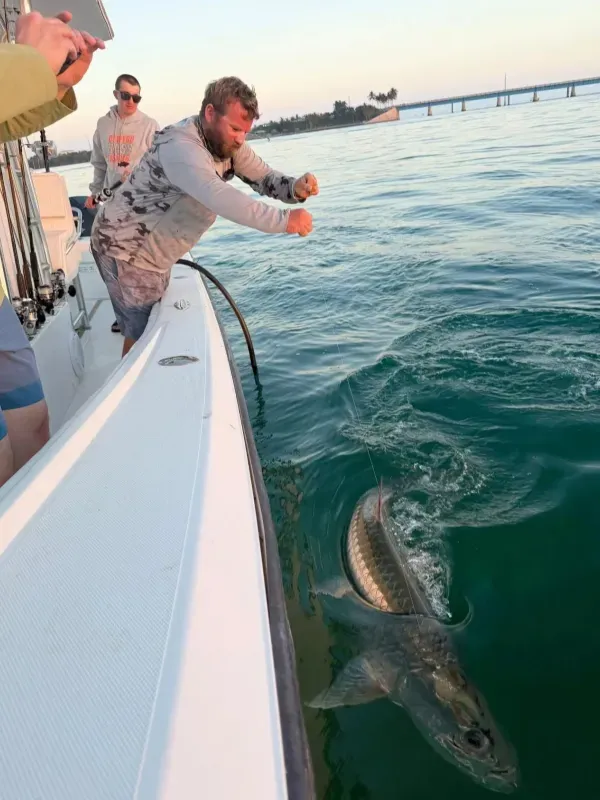 Tarpon fishing 02