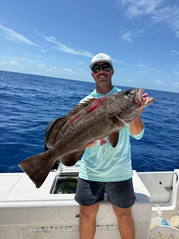 Inshore reef wreck 15