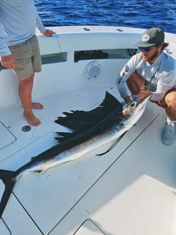 Offshore fishing 06