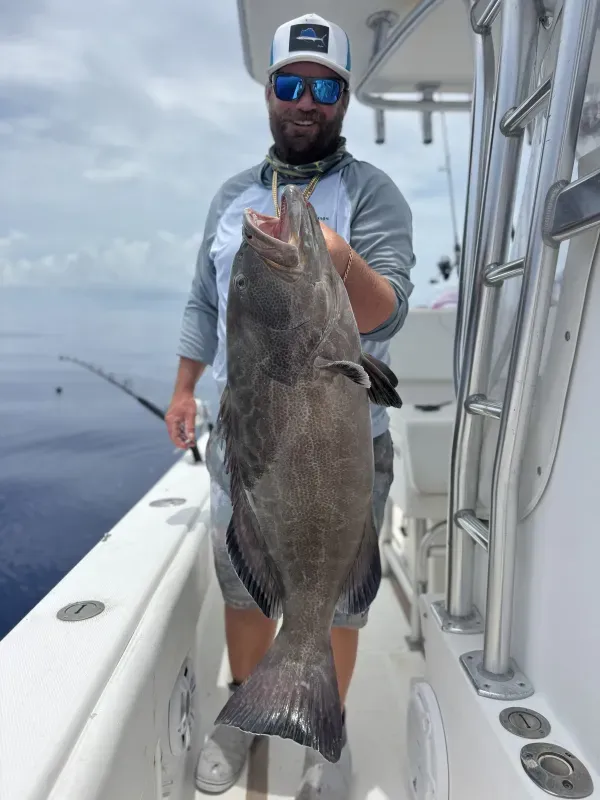 Inshore reef wreck 07